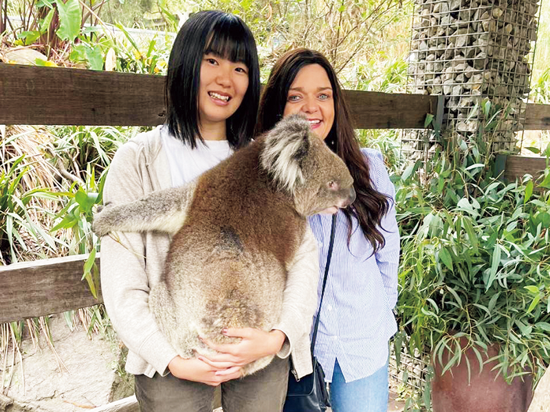 念願のコアラとの対面!